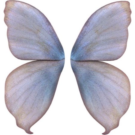 butterfly/fairy wings
