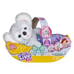 Hatchimals Colleggtibles Mystery Wheel With 20 Surprises : Target