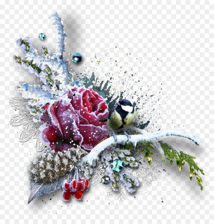 kisspng-christmas-flower-picture-frames-polyvore-winter-5ac370c8e66c37.6083334115227578329438.jpg (900×940)