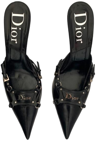 dior pointed heels