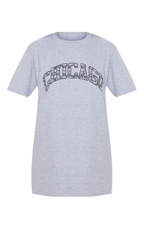Grey Snake Chicago Oversized T Shirt | Tops | PrettyLittleThing