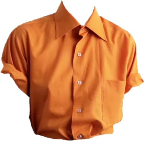 clothes shirt orange одежда рубашка...