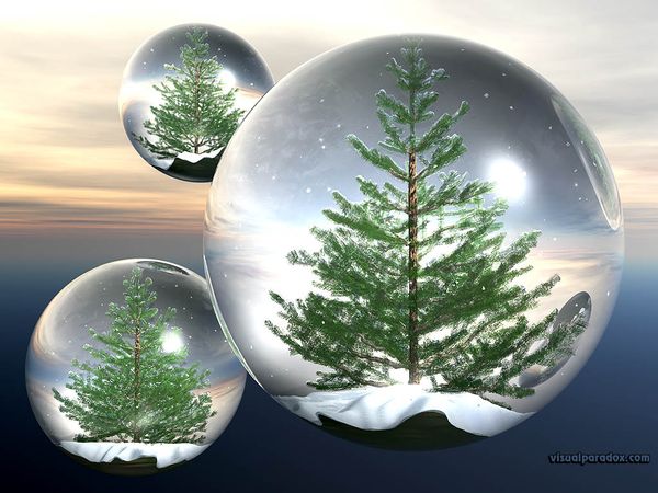 floating bubble snow trees