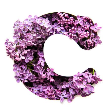 C Letter Lavender lilac purple