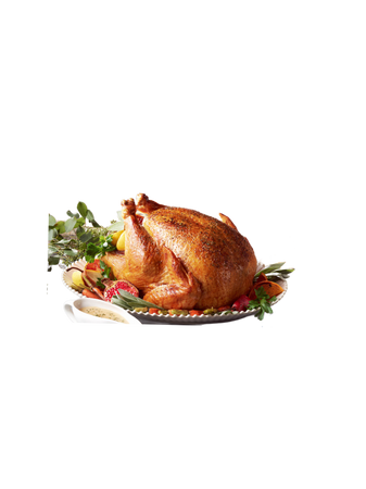 turkey food Thanksgiving