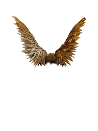 gold angel wings etsy