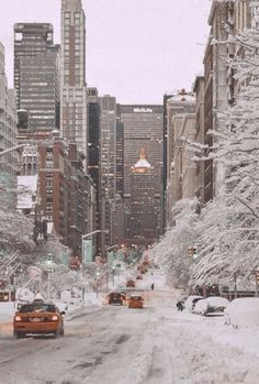 snowy city