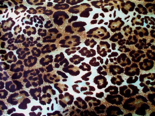 leopard print swatch