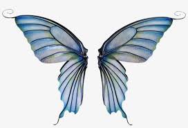 transparent fairy wings -
