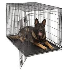 dog cage walmart - Google Search