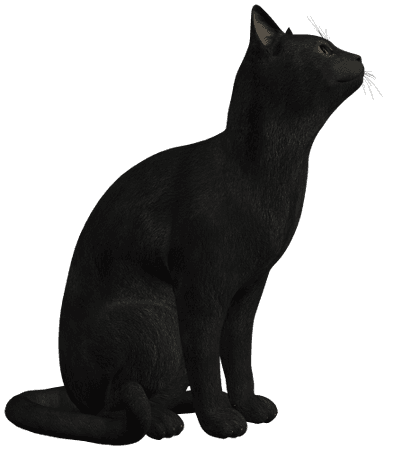 Black Cat PNG Clipart - Best WEB Clipart