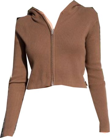 brown ribbed zip up sweater, brandy melville