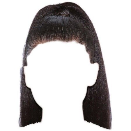 black hair ponytail