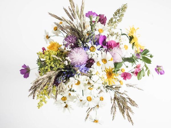 wildflower bouquet png - Google Search