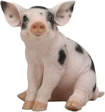 spotted piglet - Google Search