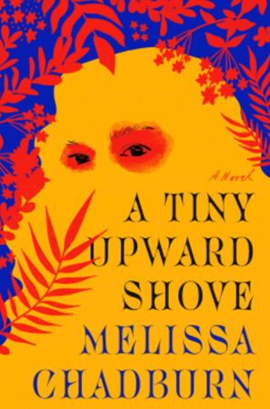 book A Tiny Upward Shove by Melissa Chadburn