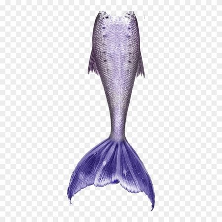 Mermaid Tail Png - Mermaid Tail Png Blue, Transparent Png - 500x900(#479993) - PngFind