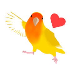 yellow love bird png - Google Search
