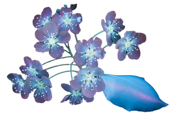 Infrared light flower