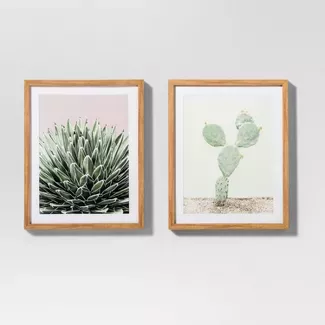 Framed Cactus Wall Print 2pk White/Green 20"x16" - Project 62™ : Target