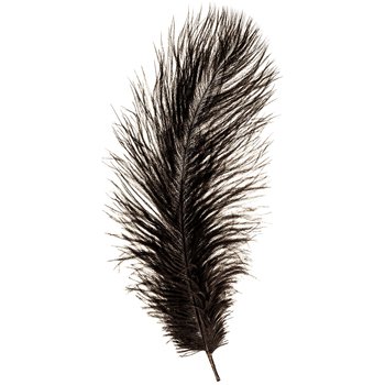Black Ostrich Feather - 14" - 16" | Hobby Lobby | 28822