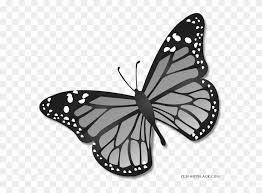 butterfly transparent background - Google Search