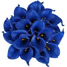 blue flowers – Google Поиск