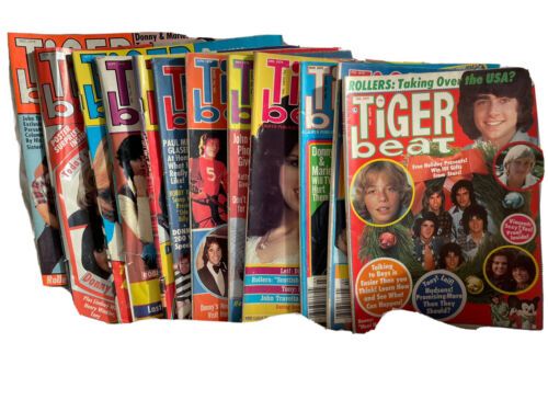 Bay City Rollers Andy Gibb Robby Benson Leif 1976 And 1977 Tiger Beat Magazines | eBay