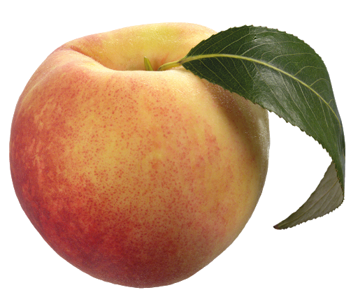 peach no background - Google Search