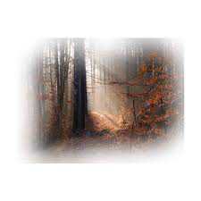 autumn polyvore backgrounds - Google Search