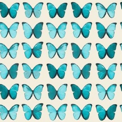 ovarian cancer butterfly wallpaper