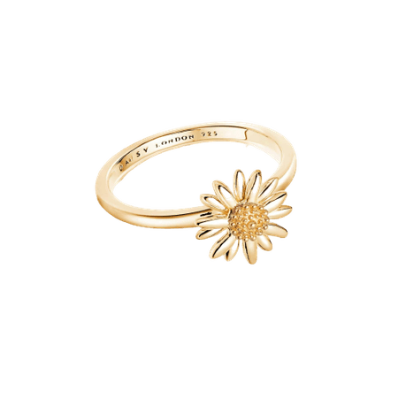 English Daisy Ring 18ct Gold Plate - Daisy Jewerly