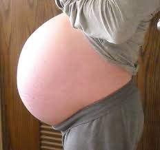 33 weeks pregnant with twins belly pictures - Google Search