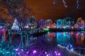 christmas zoo lights - Google Search