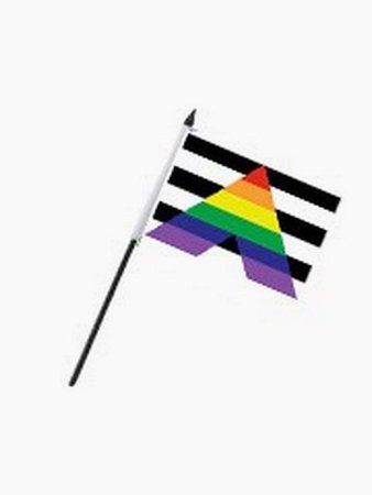 small gay ally flag