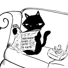 black cat newspaper - Google Search