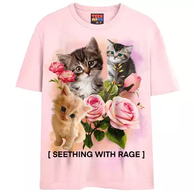 RAGE KITTENS – Teen Hearts Clothing - STAY WEIRD