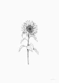 small sunflower drawing tattoo - Google Search