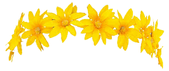 yellow flower crown