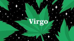 Virgo - Google Search