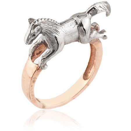 horse ring