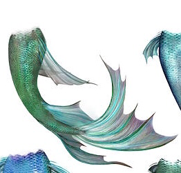 mermaid kelpie tail
