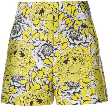 Alice+Olivia fitted floral pattern shorts
