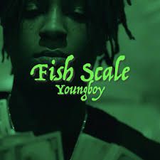 nba youngboy fish scale - Google Search