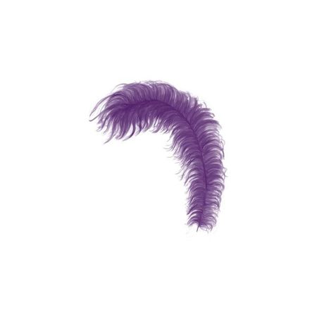 purple feather