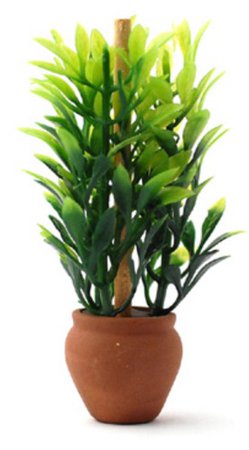 terra-cotta pot with plant