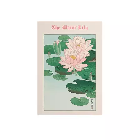 Aesthetic Room Posters | Water Lily Poster