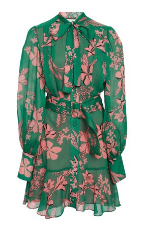 Tisdale Ruffled Floral-Print Chiffon Mini Dress by Alexis | Moda Operandi