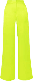 Neon Pants