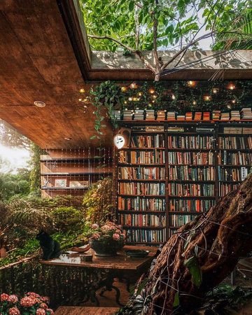 cozy green earthy plant overgrown library
